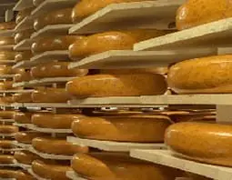 Opmerkelijk Assen Boerenkaas-van-Drenthe