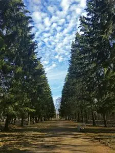 Bedrijven in Assen Wandelroutes in Assen