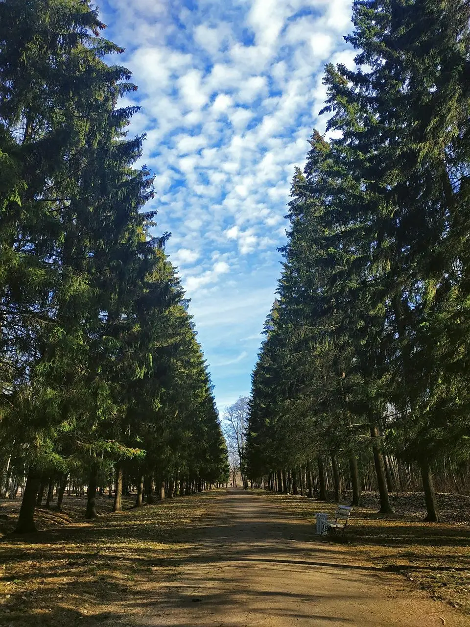 Wandelroutes in Assen